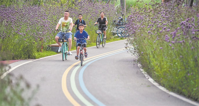 大运会前贯通环线100公里一级绿道