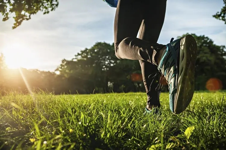 ĳĳ�ؾٰ조�Ƽ����� �˲���������